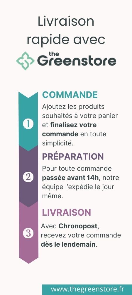 Infographie sur la livraison avec The Greenstore