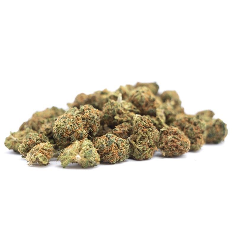 Orange Small Bud CBD - Fleurs CBD