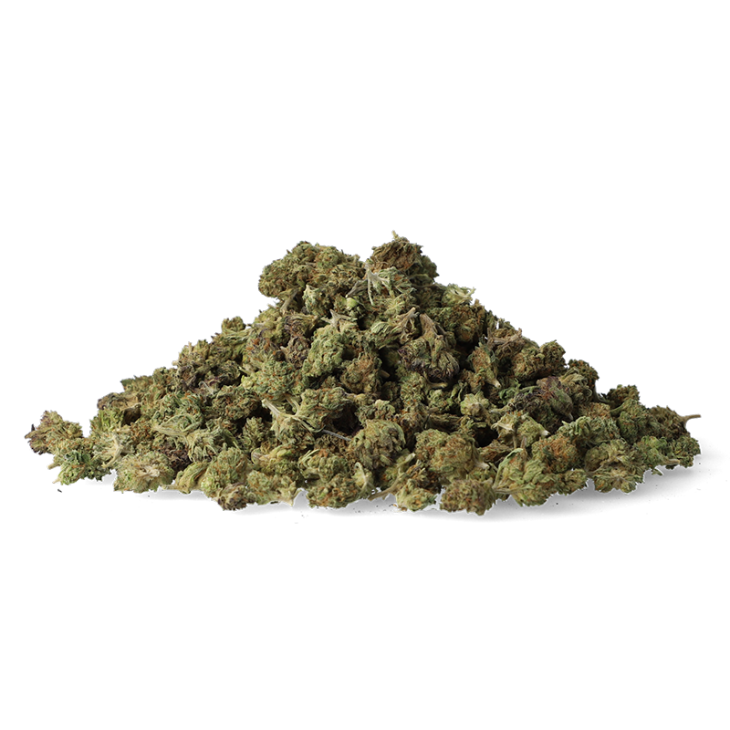 Cheese Small Bud CBD - Fleurs CBD