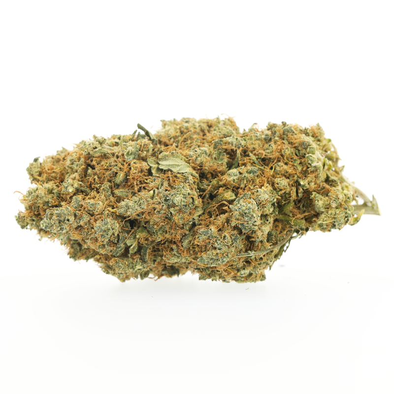 Jack Herer Premium - Fleurs CBD