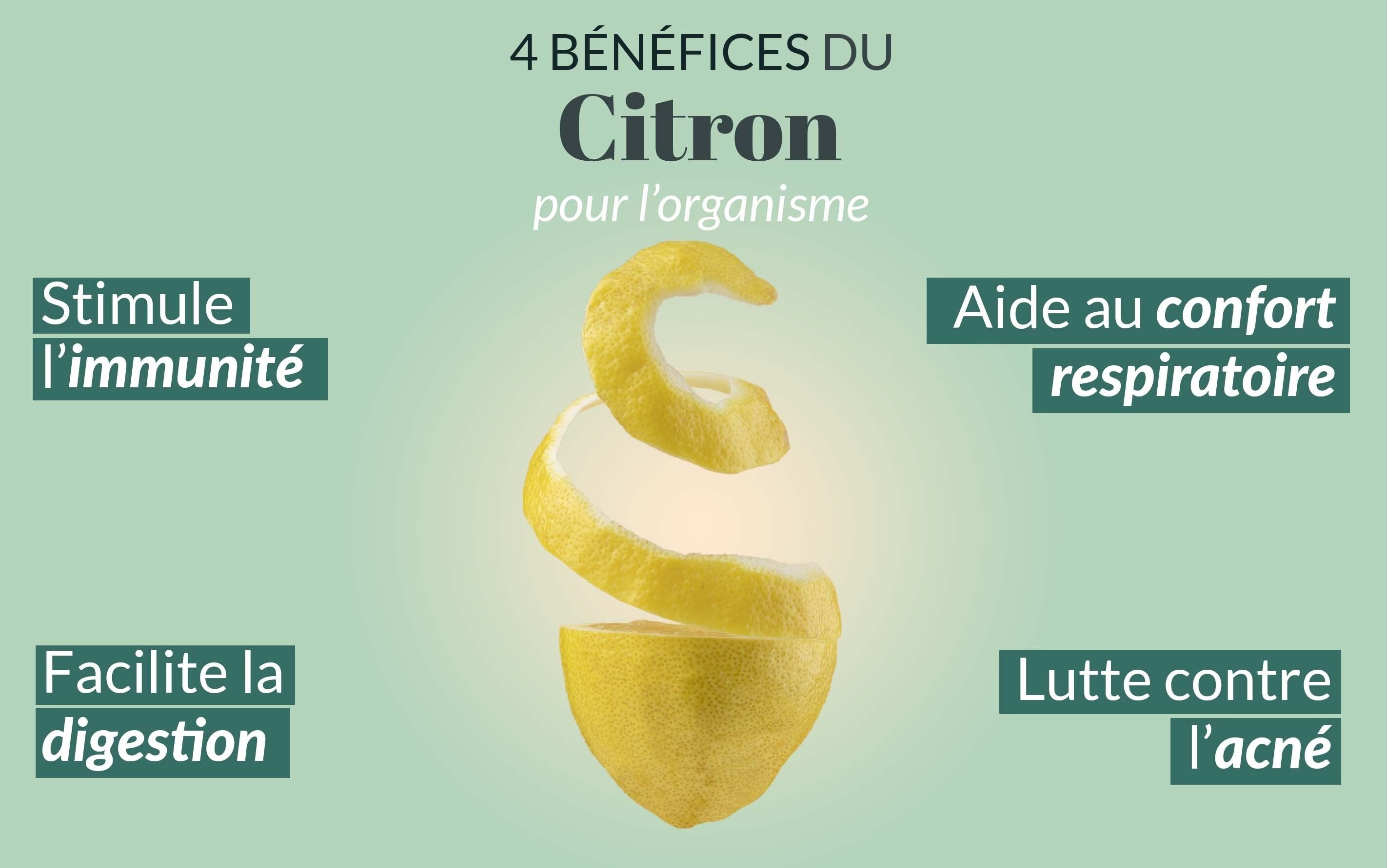 Infusion cbd citron et gingembre - Rest in Tizz