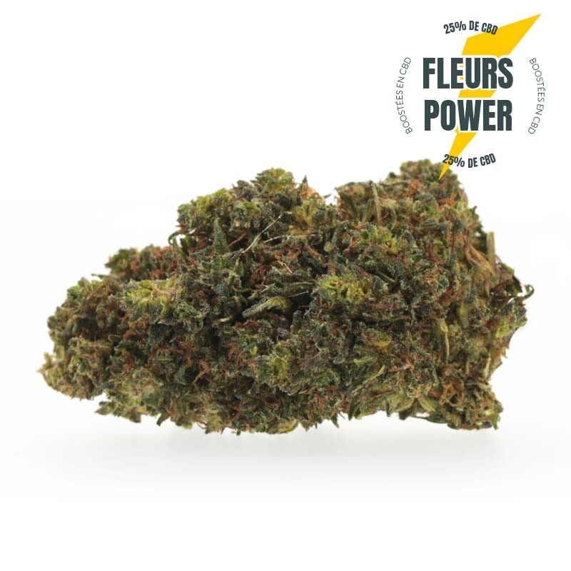 Power SuperNova Skunk - Fleurs CBD