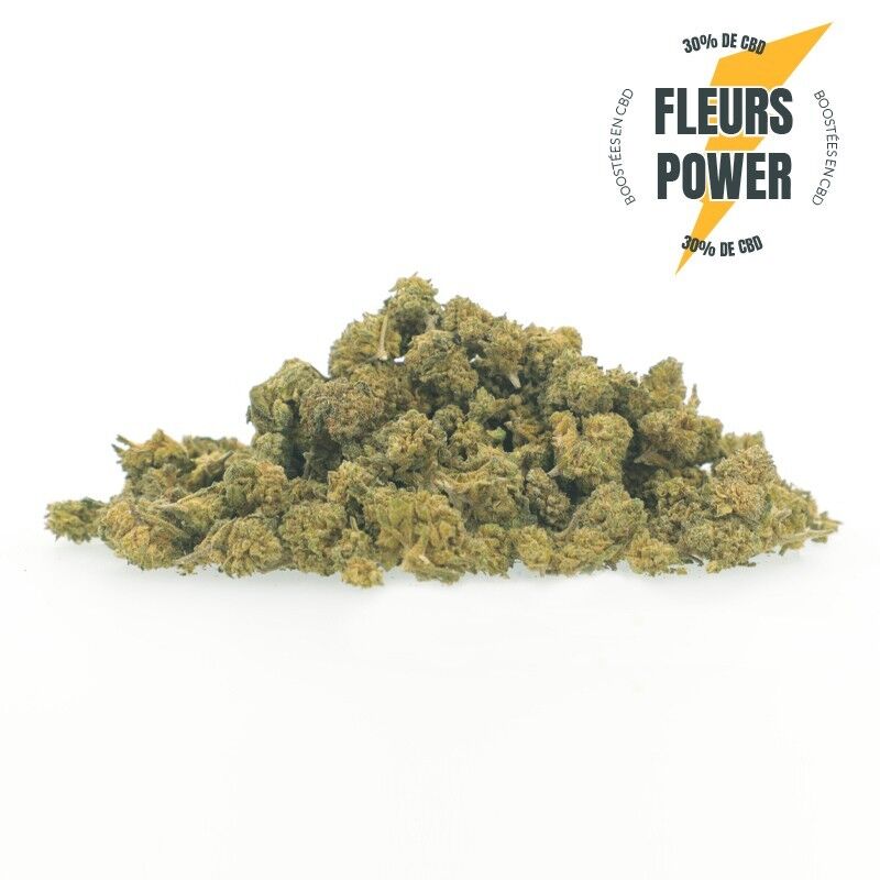 Power MegaForce OG - Fleurs CBD Small Bud