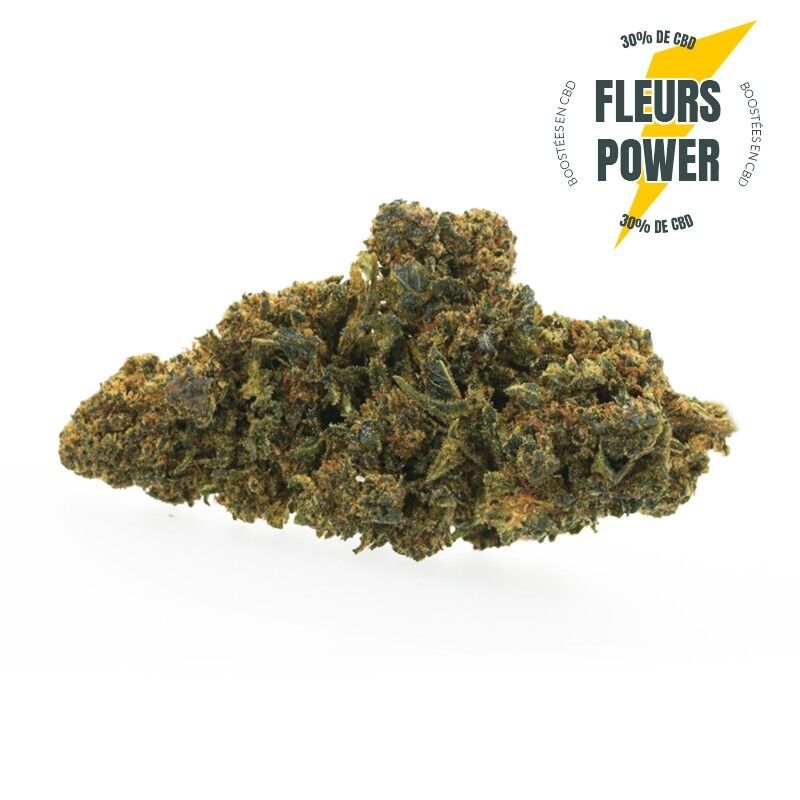 Power Nuclear Kush - Fleurs CBD