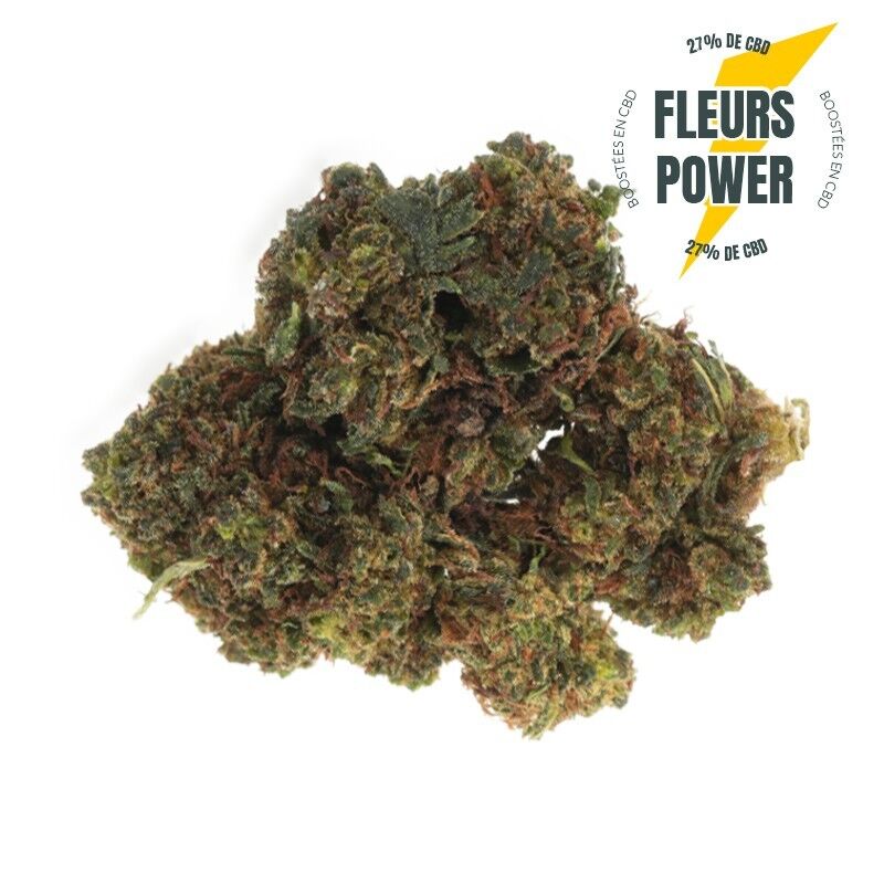 Power MegaVolt OG - Fleurs CBD