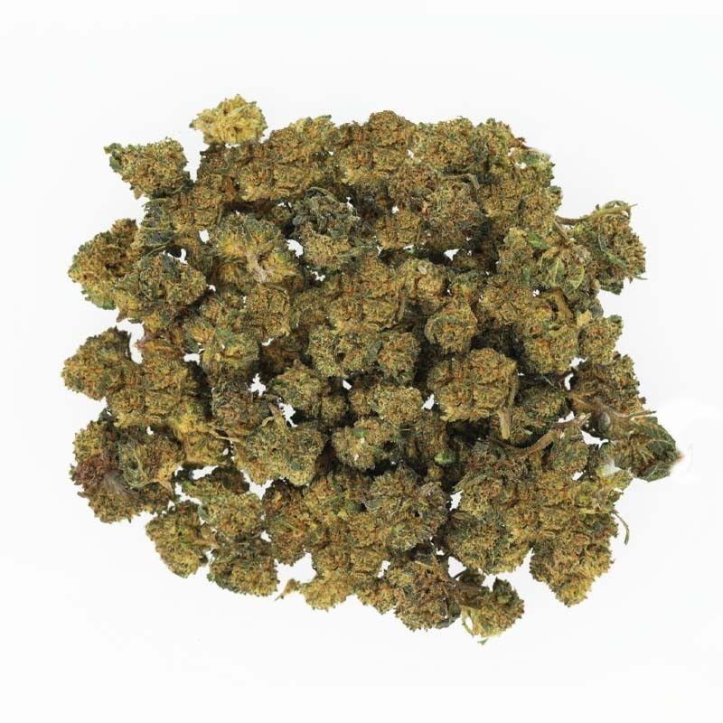 Power Jamaican Dream - Fleurs CBD Small Bud