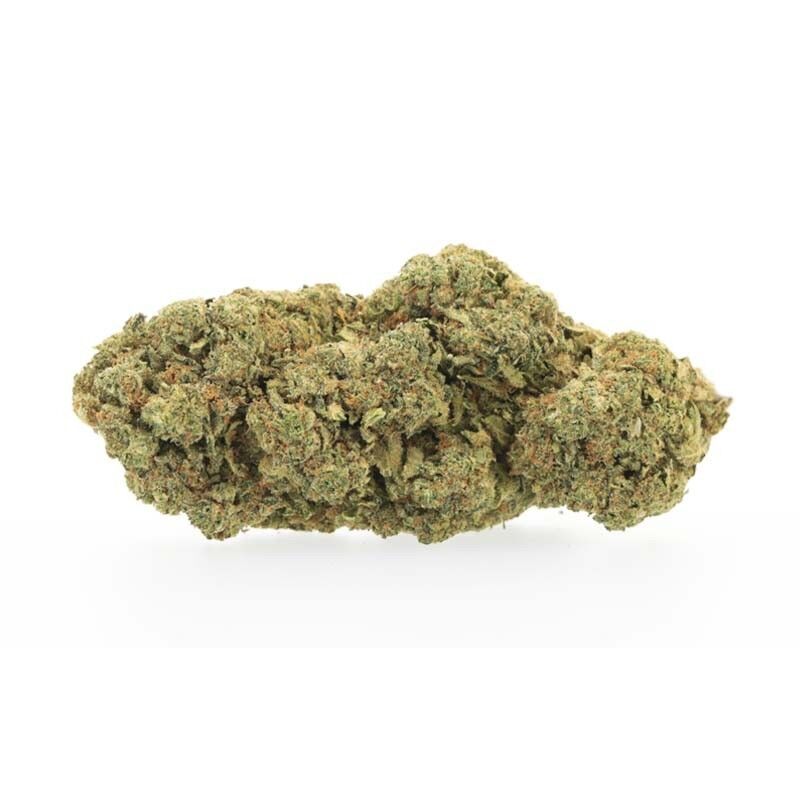 Panama Gold - Fleurs CBD Grande Réserve