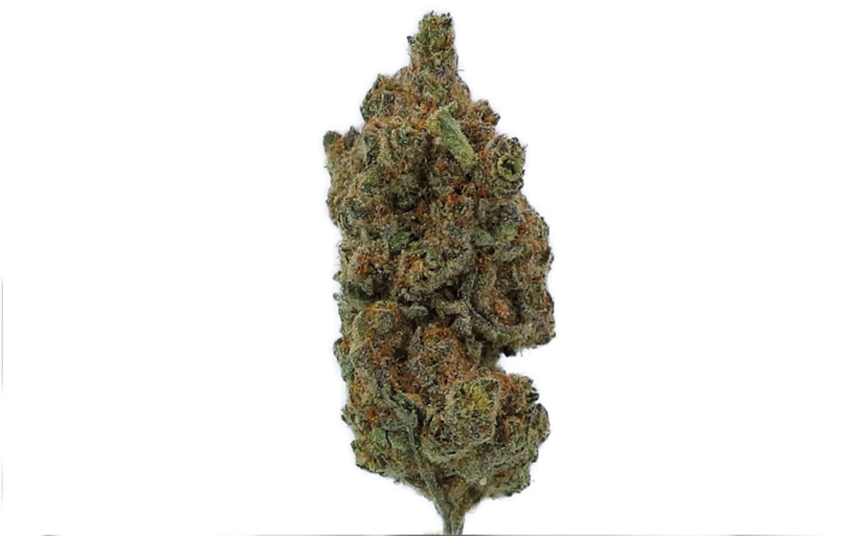 Blue Dream - Fleurs CBD Grande Réserve