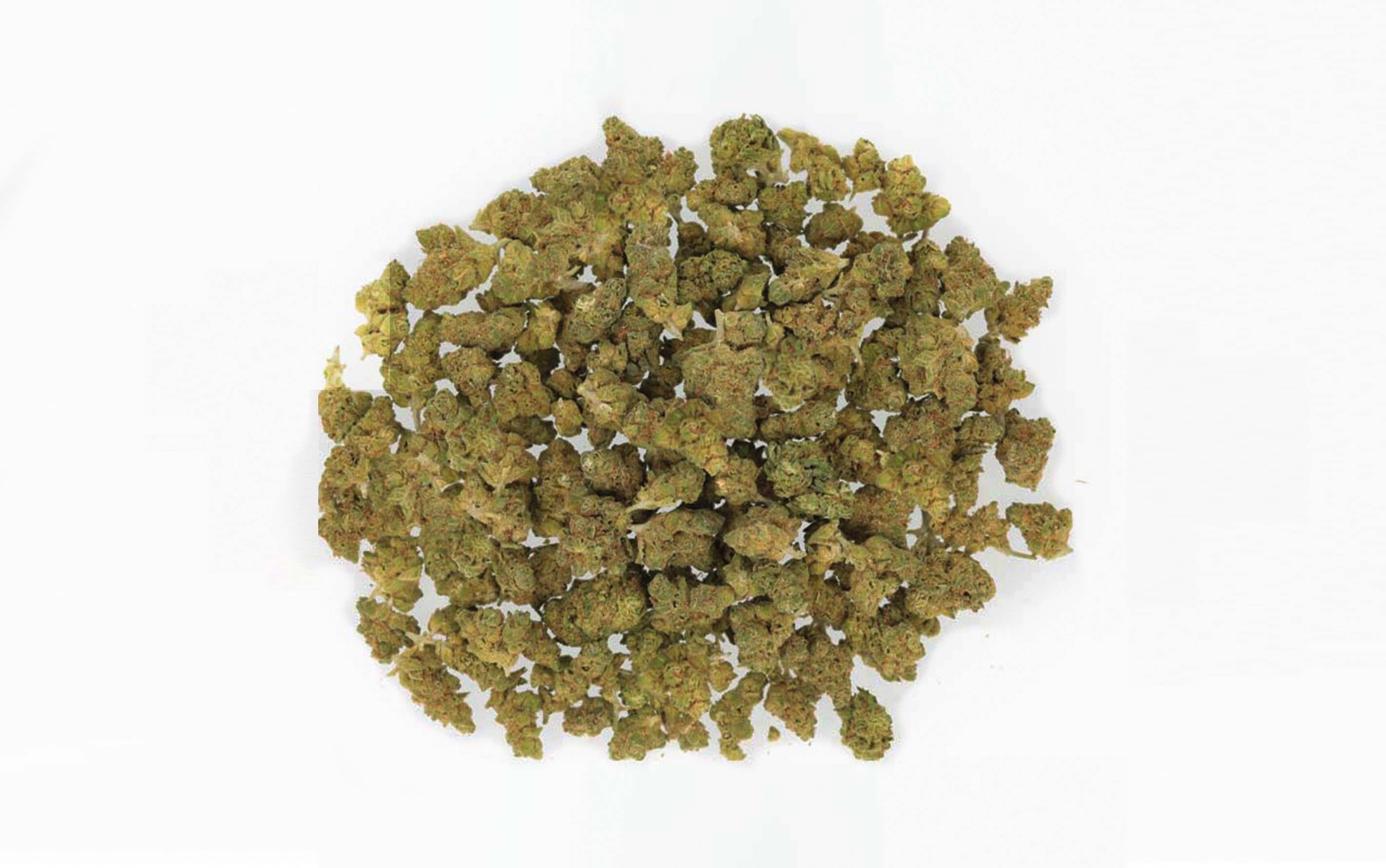 Amnesia Haze Small Bud - Fleurs CBD Grande Réserve