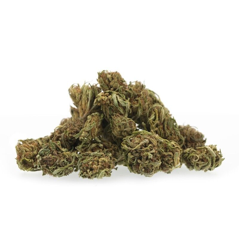 Amnesia Medium Bud – Fleurs CBD