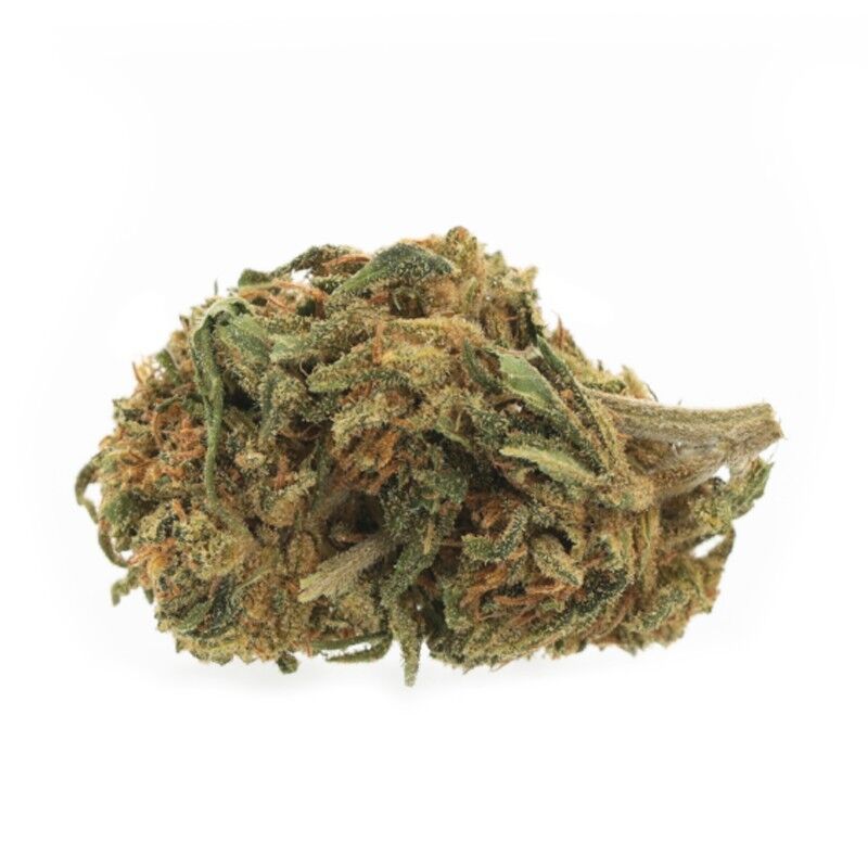 Cali Medium Bud – Fleurs CBD