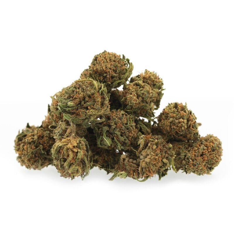 Cali Medium Bud – Fleurs CBD