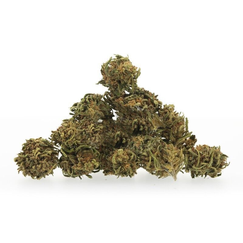 Cheese Medium Bud – Fleurs CBD