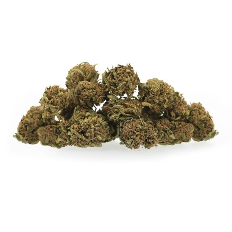 Lemon Medium Bud – Fleurs CBD