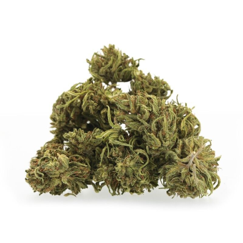 Haze Medium Bud – Fleurs CBD