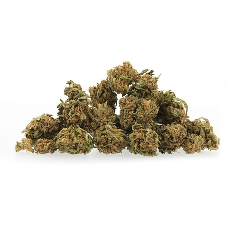 Kush Medium Bud – Fleurs CBD