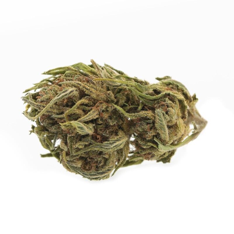 Amnesia Medium Bud – Fleurs CBD