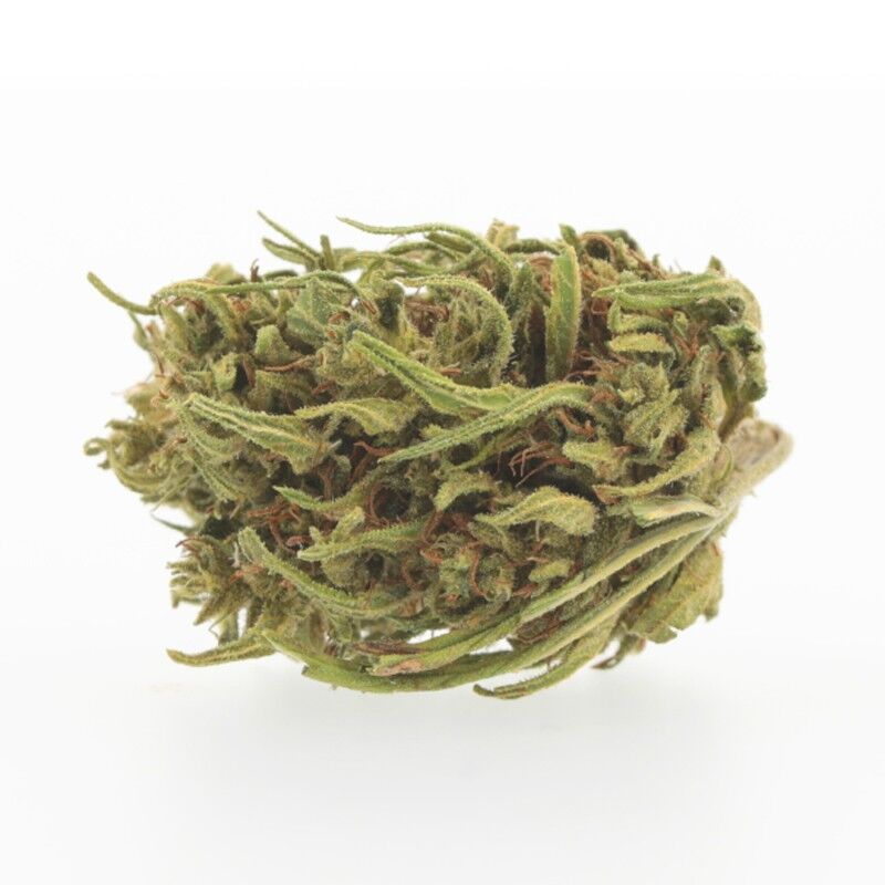 Haze Medium Bud – Fleurs CBD