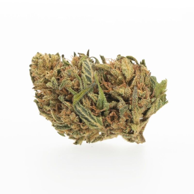 Kush Medium Bud – Fleurs CBD