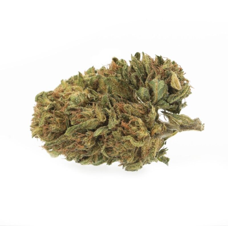 Lemon Medium Bud – Fleurs CBD