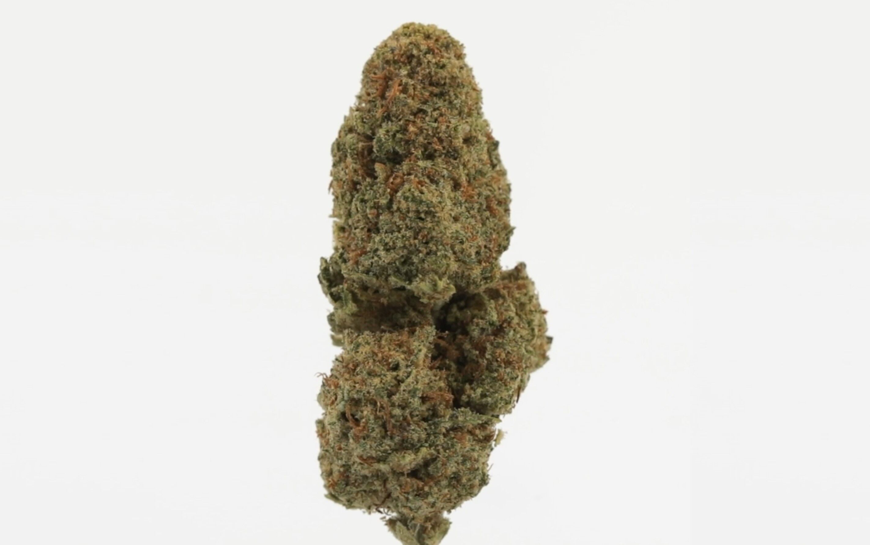 Golden Cheese - Fleurs CBD Grande Réserve