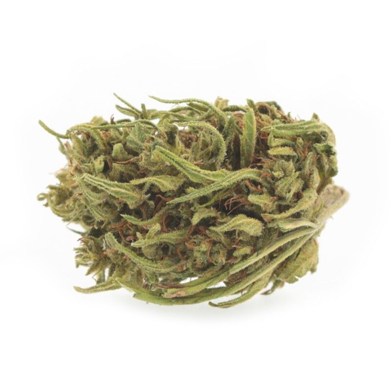 Haze Medium Bud – Fleurs CBD