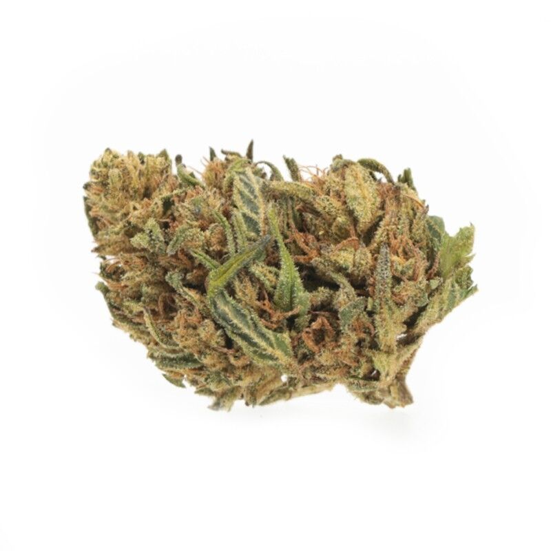 Kush Medium Bud – Fleurs CBD