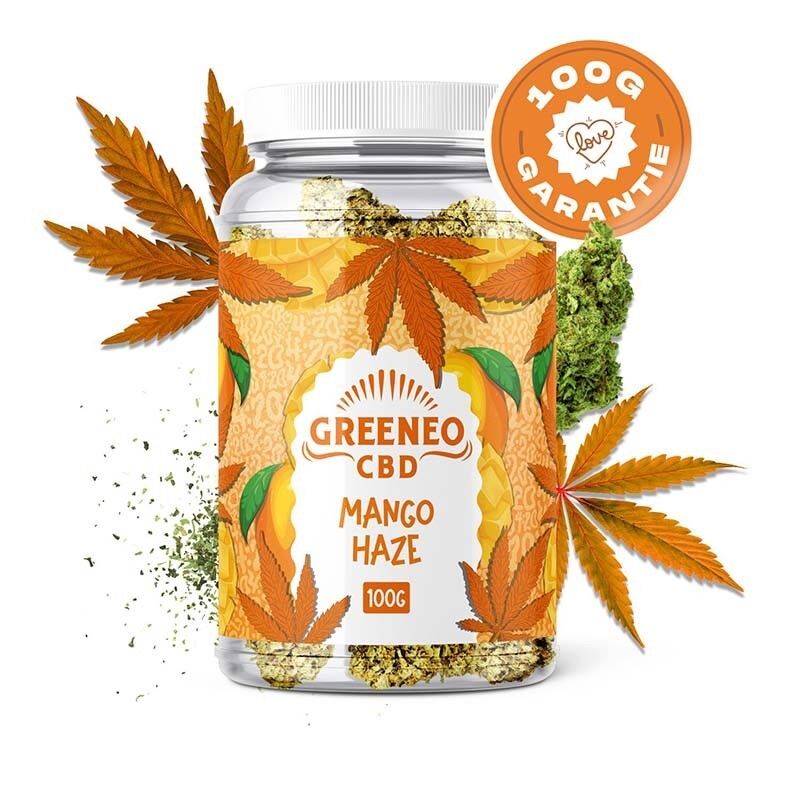 Mango Haze - Fleurs CBD Greeneo