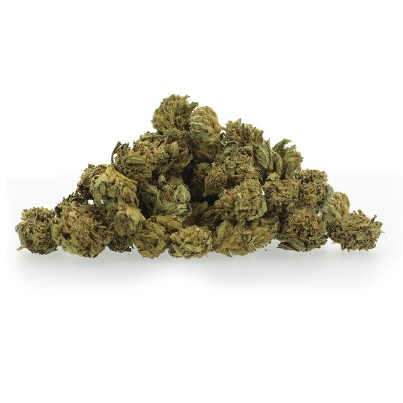 Lemon Haze Small Bud – Fleurs CBD