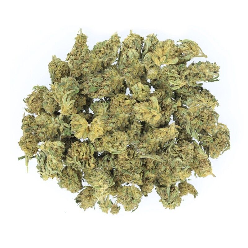 Lemon Haze Small Bud – Fleurs CBD