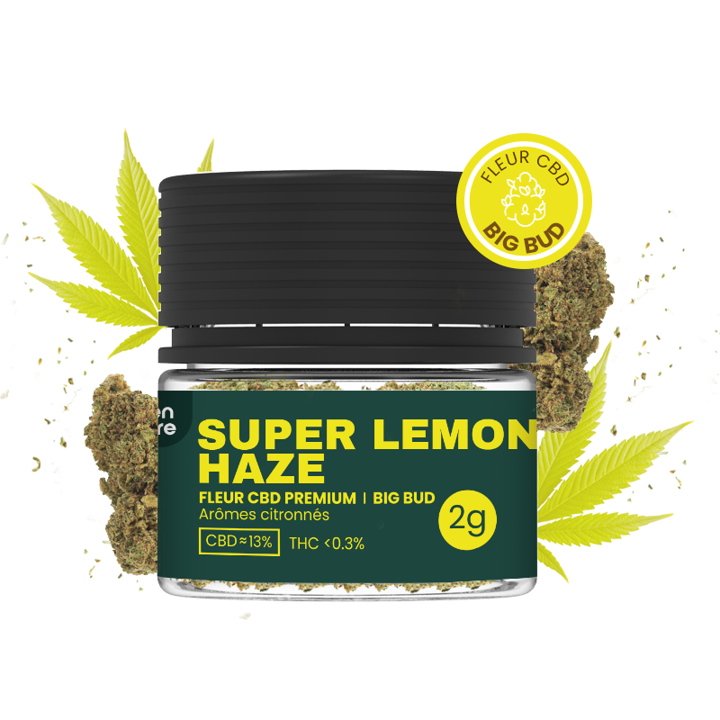 Super Lemon Haze - Fleurs CBD en pots