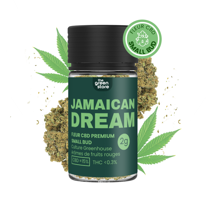 Jamaican Dream Small Bud - Fleurs CBD en pots