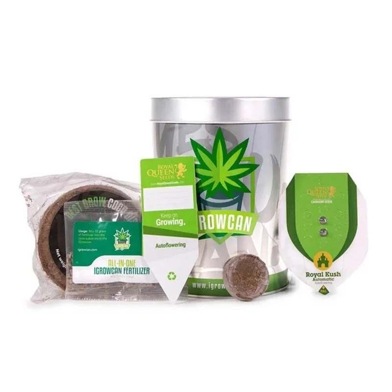 Kit de Culture Graines CBD Fat Banana – Cocorikush