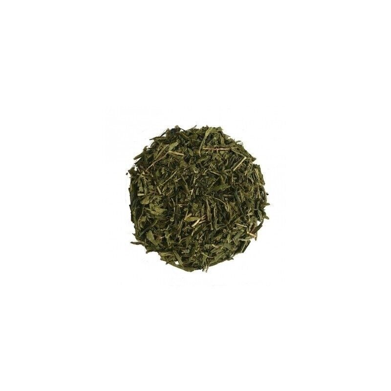 Thé vert Sencha cbd - Rest in Tizz