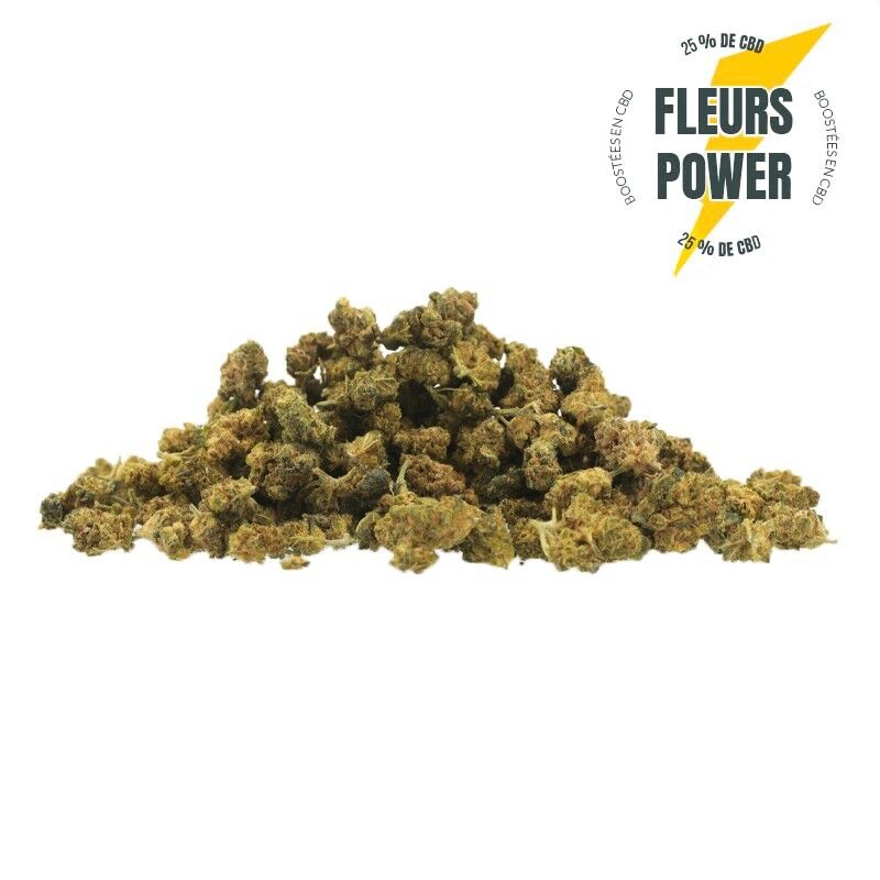 Power Supra Amnesia – Fleurs CBD Small Bud