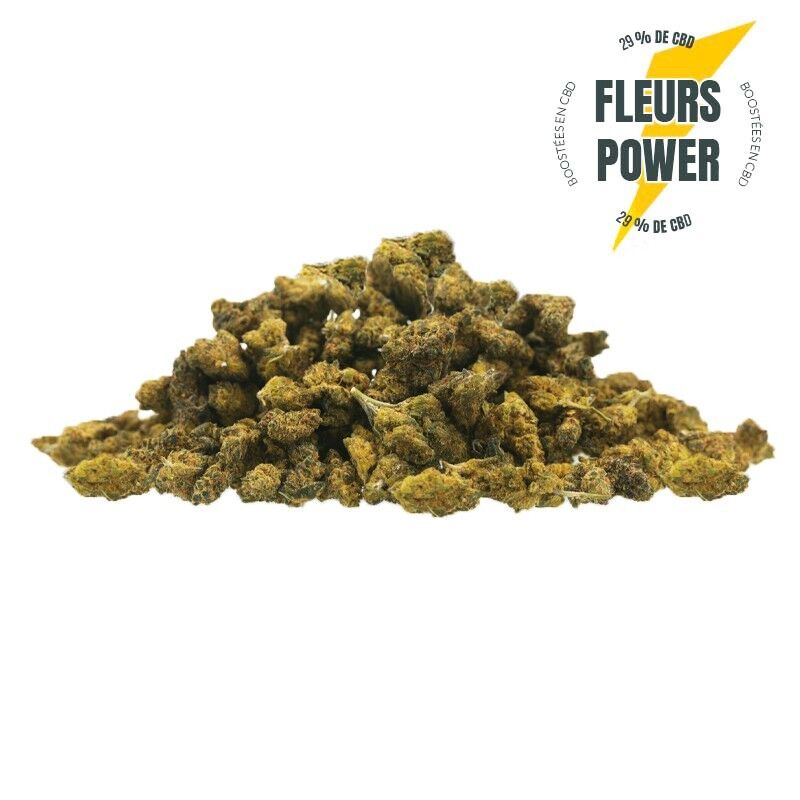 Power Supra Skittlez – Fleurs CBD Small Bud