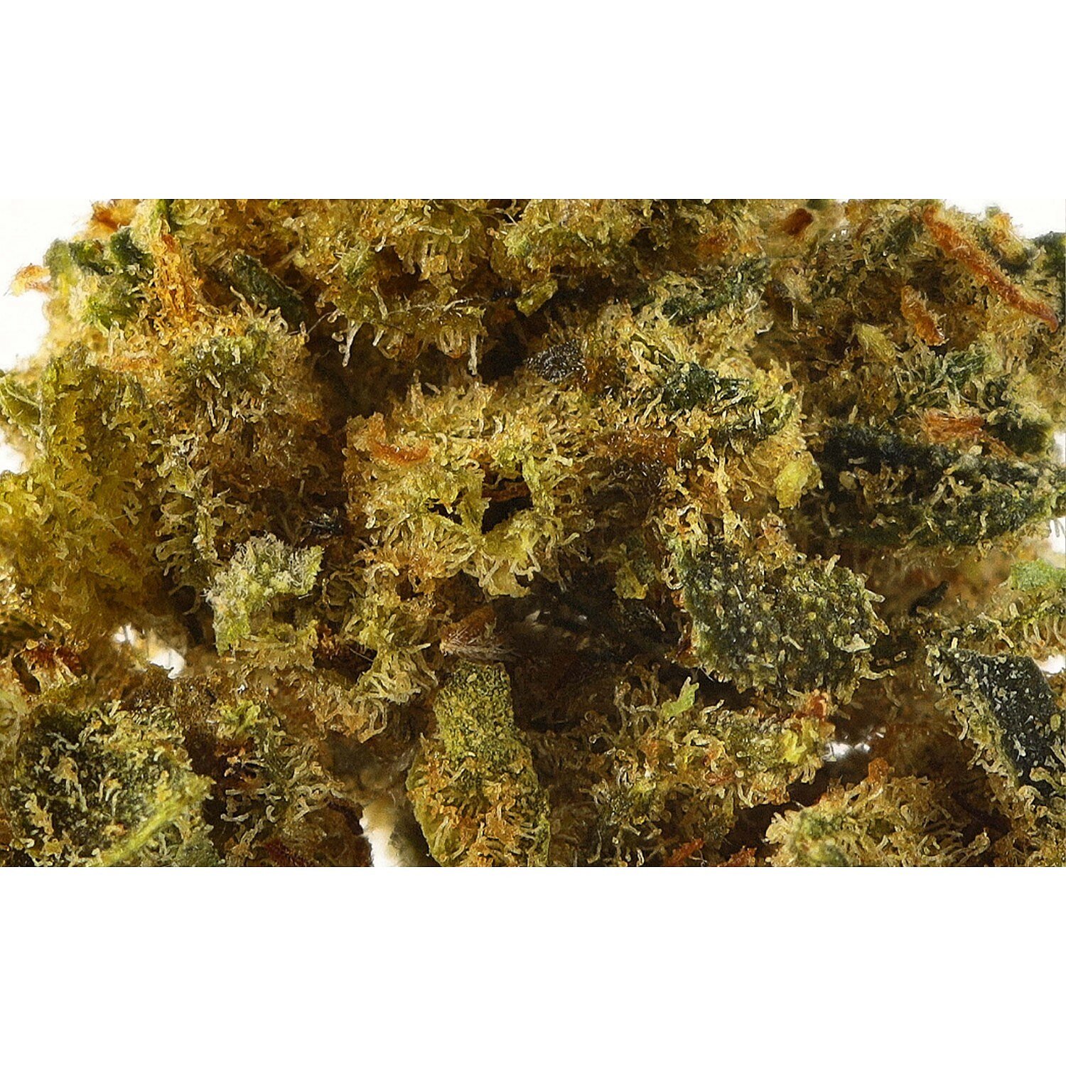 Power Supra Amnesia - CBD Flores Pequenos botões