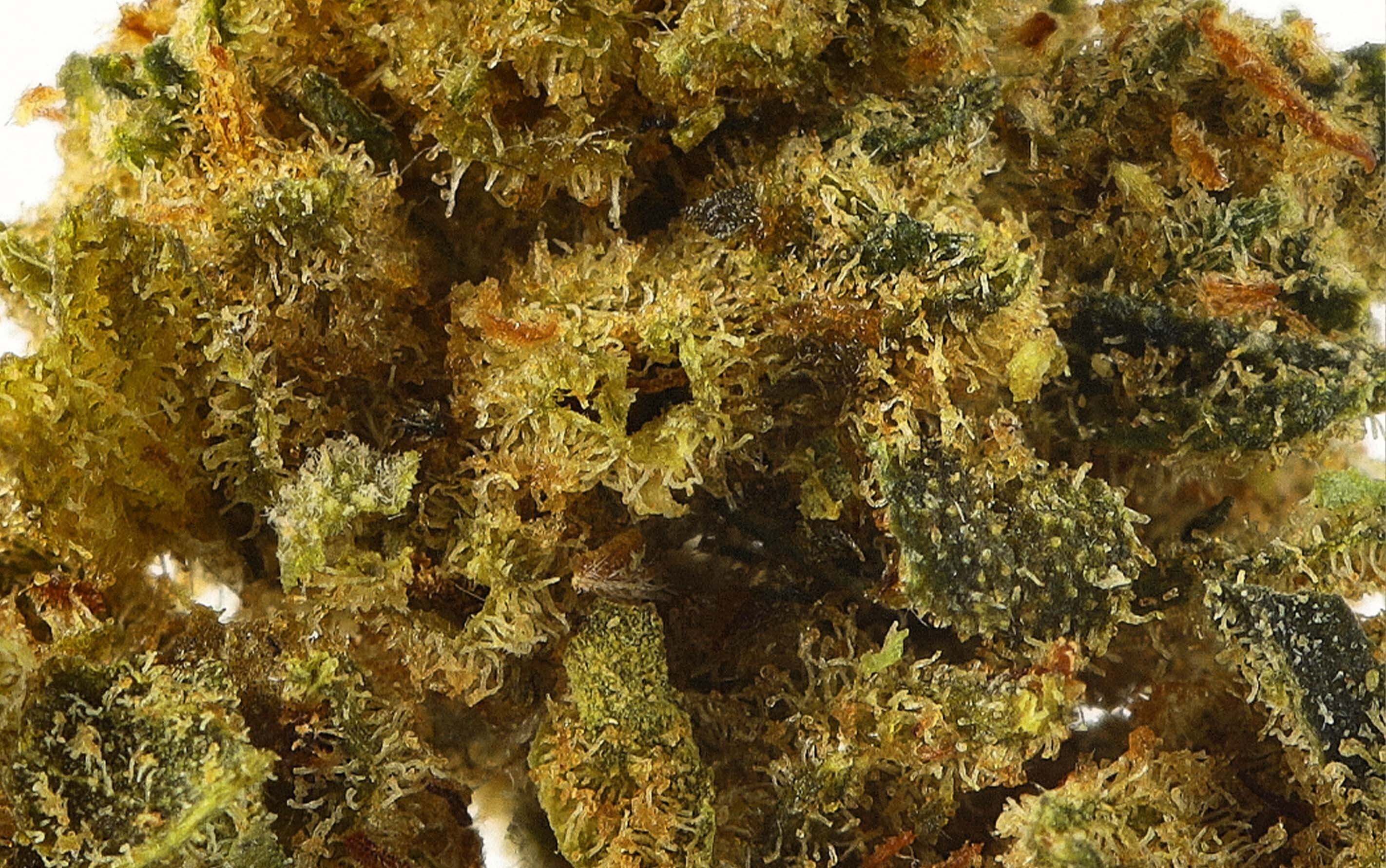 Power Supra Amnesia - CBD Flowers Small Bud
