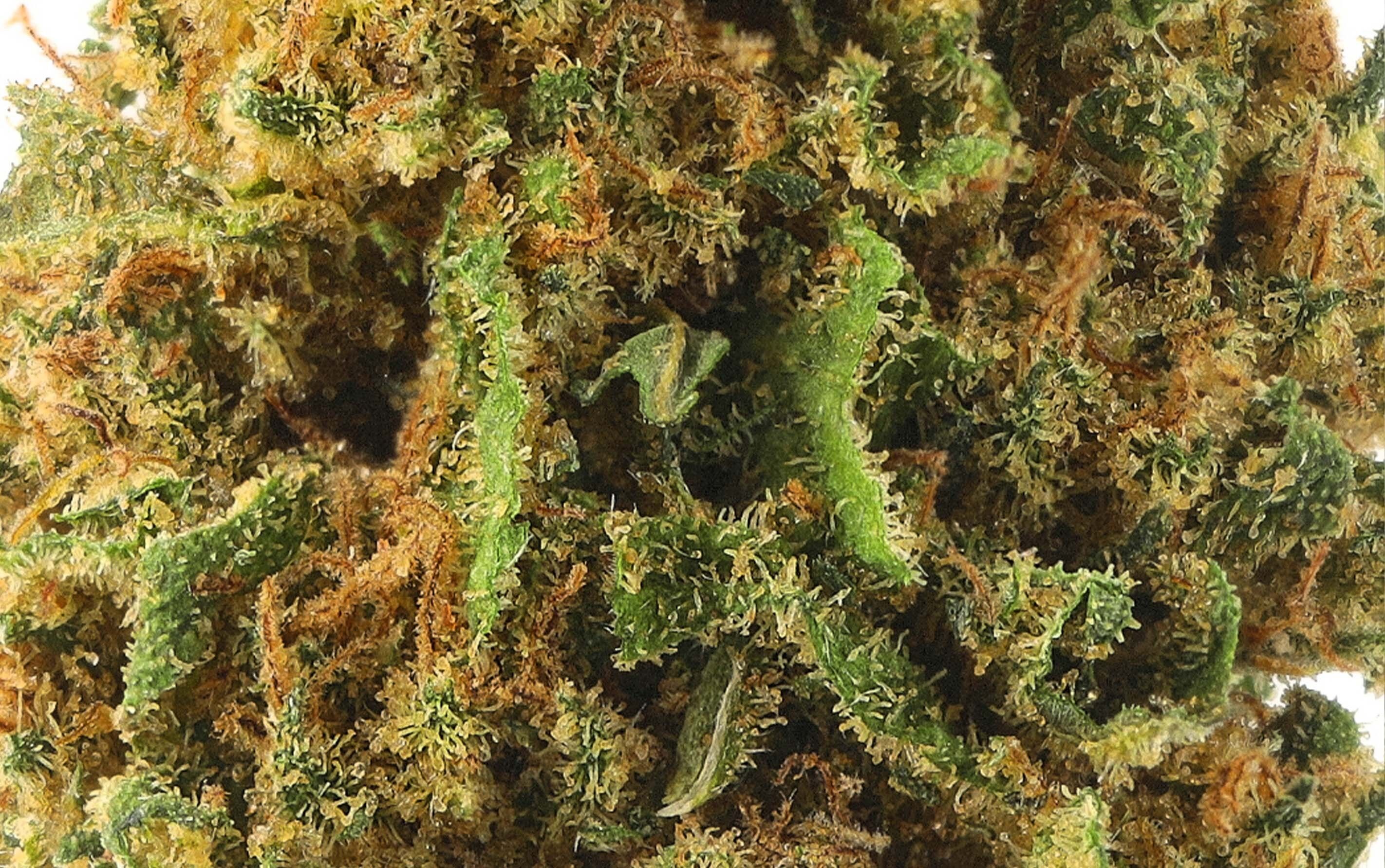 Power Jamaican Dream - CBD Flores Cogollo Pequeño