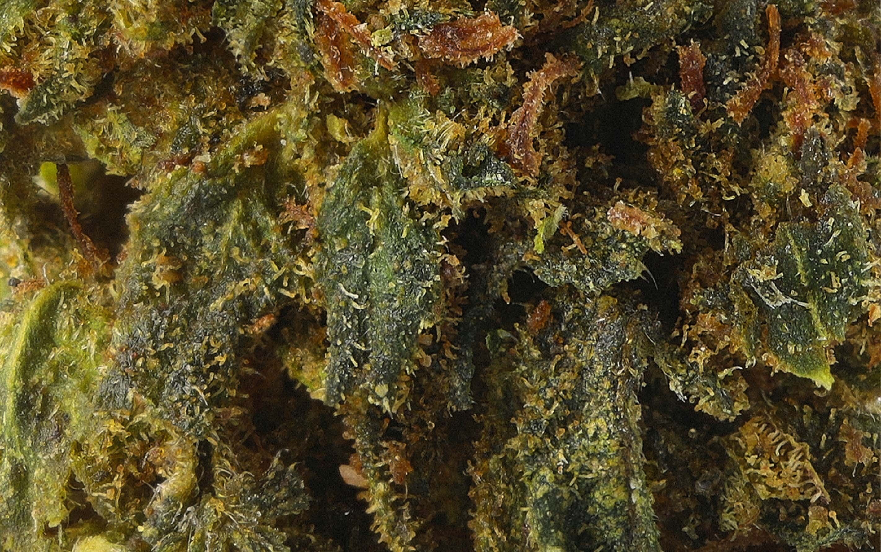Power MegaVolt OG - Fleurs CBD