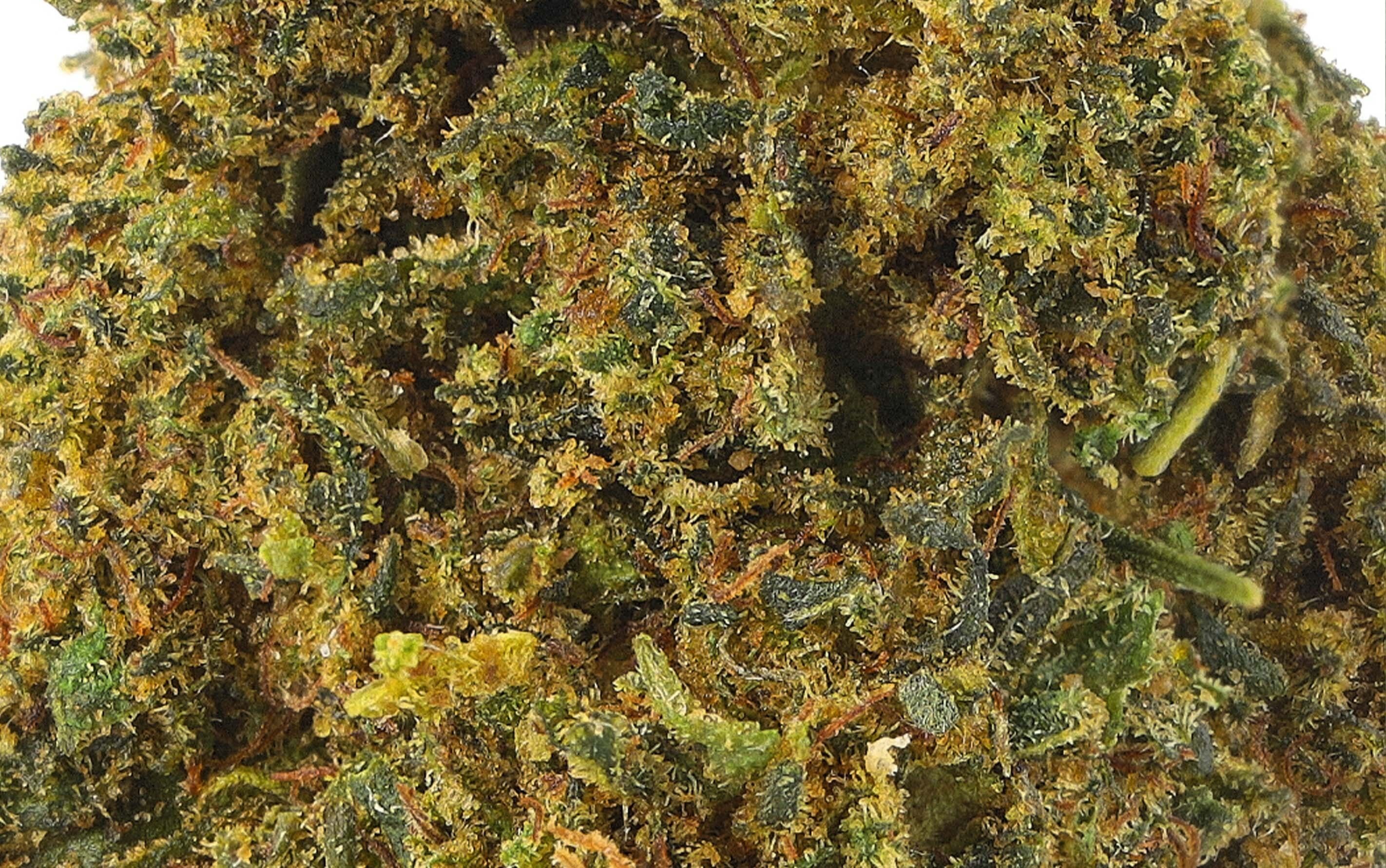 Power Punch Kush - Fleurs CBD