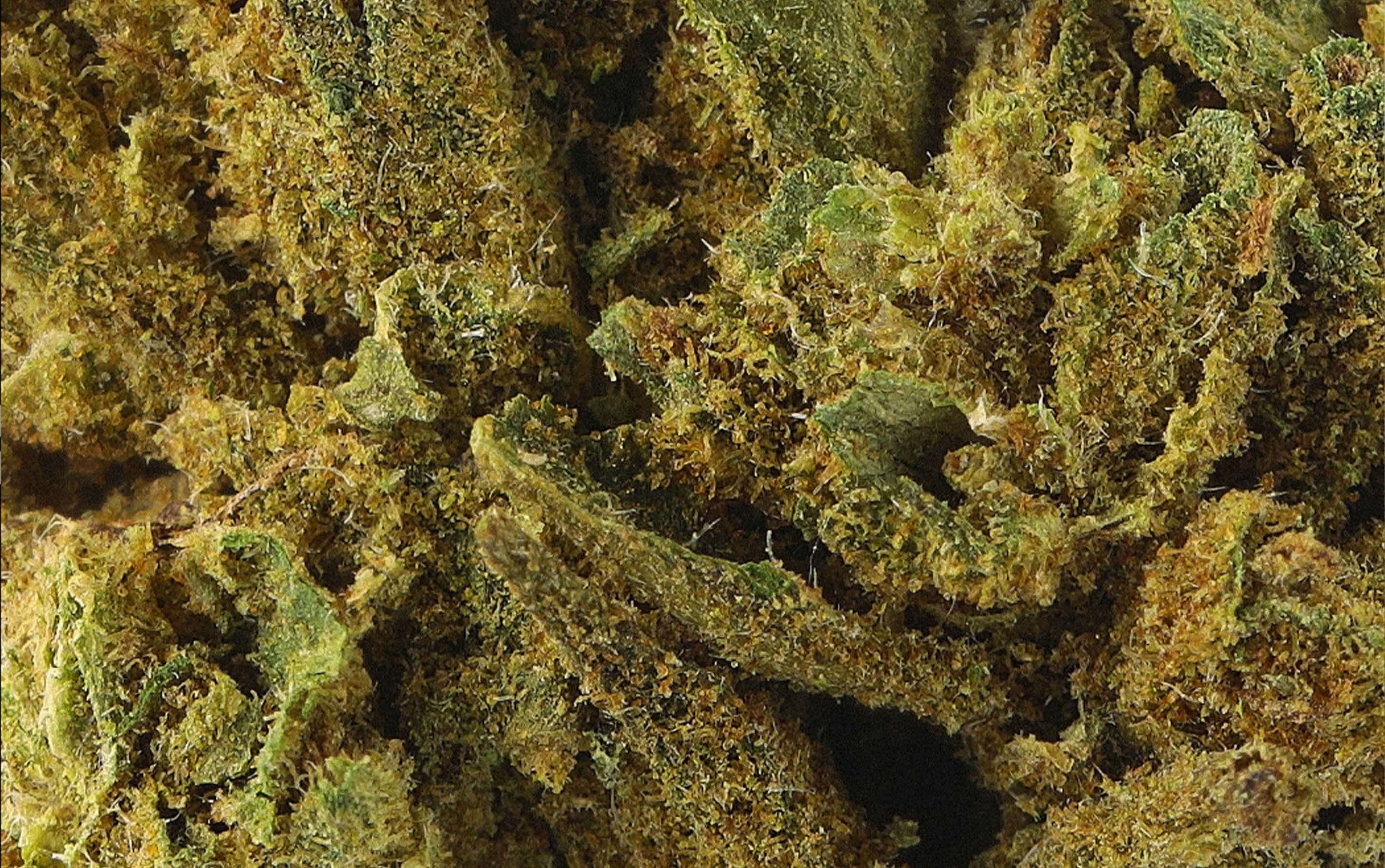 Super Lemon Haze Small Bud – Fleurs CBD