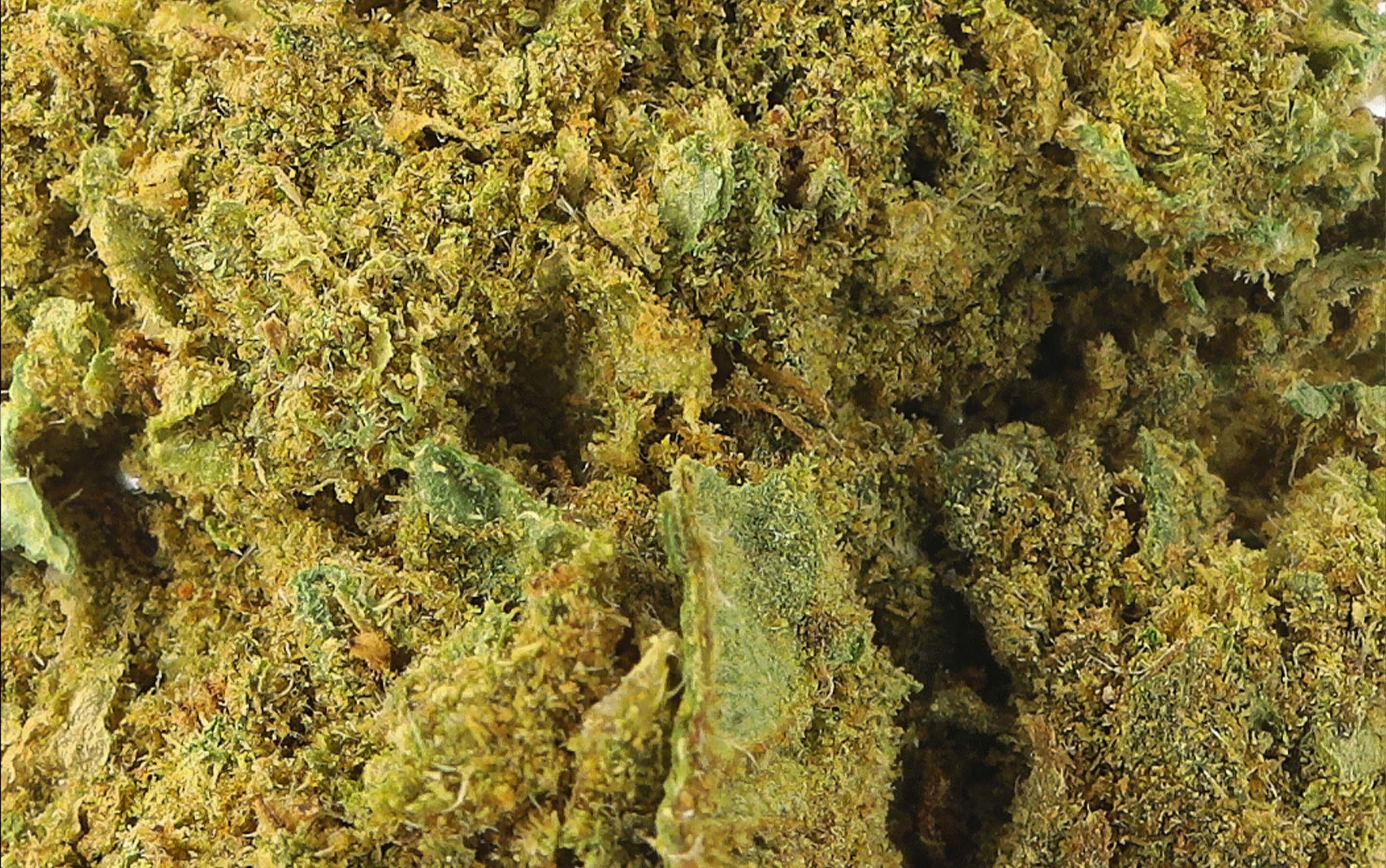 Lemon Haze Small Bud – Fleurs CBD