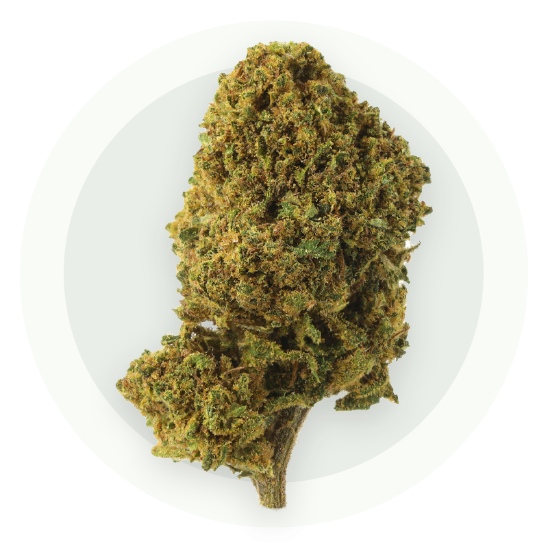 Mandarin Kush Premium - Kwiaty CBD