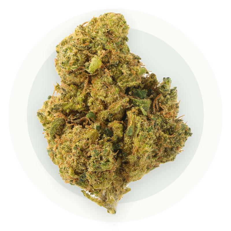 Geremy Scotty - Kwiaty CBD