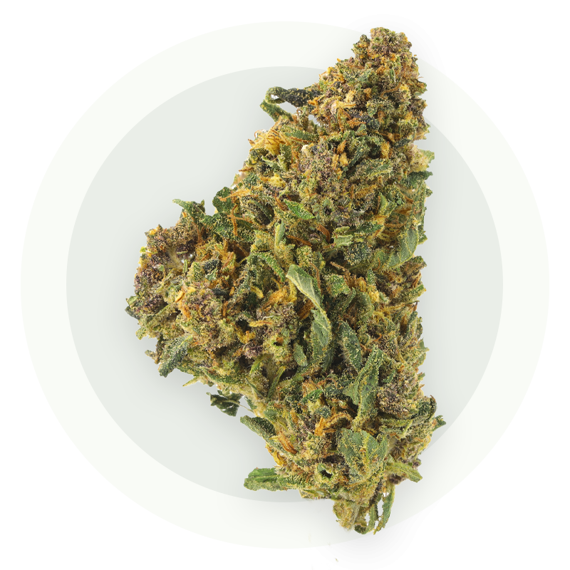 Lemon Relax - Kwiaty CBD