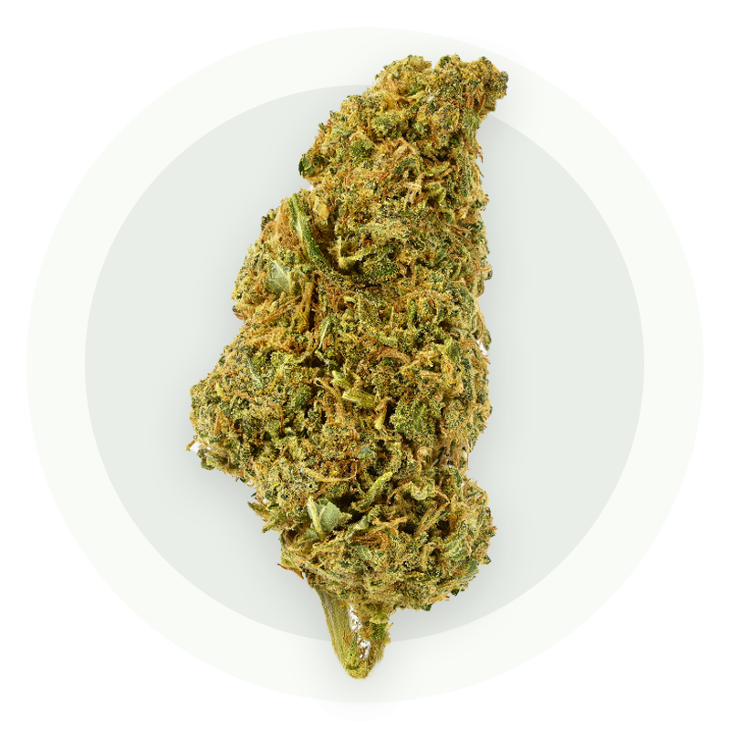 Super Lemon Haze CBD - Kwiaty CBD