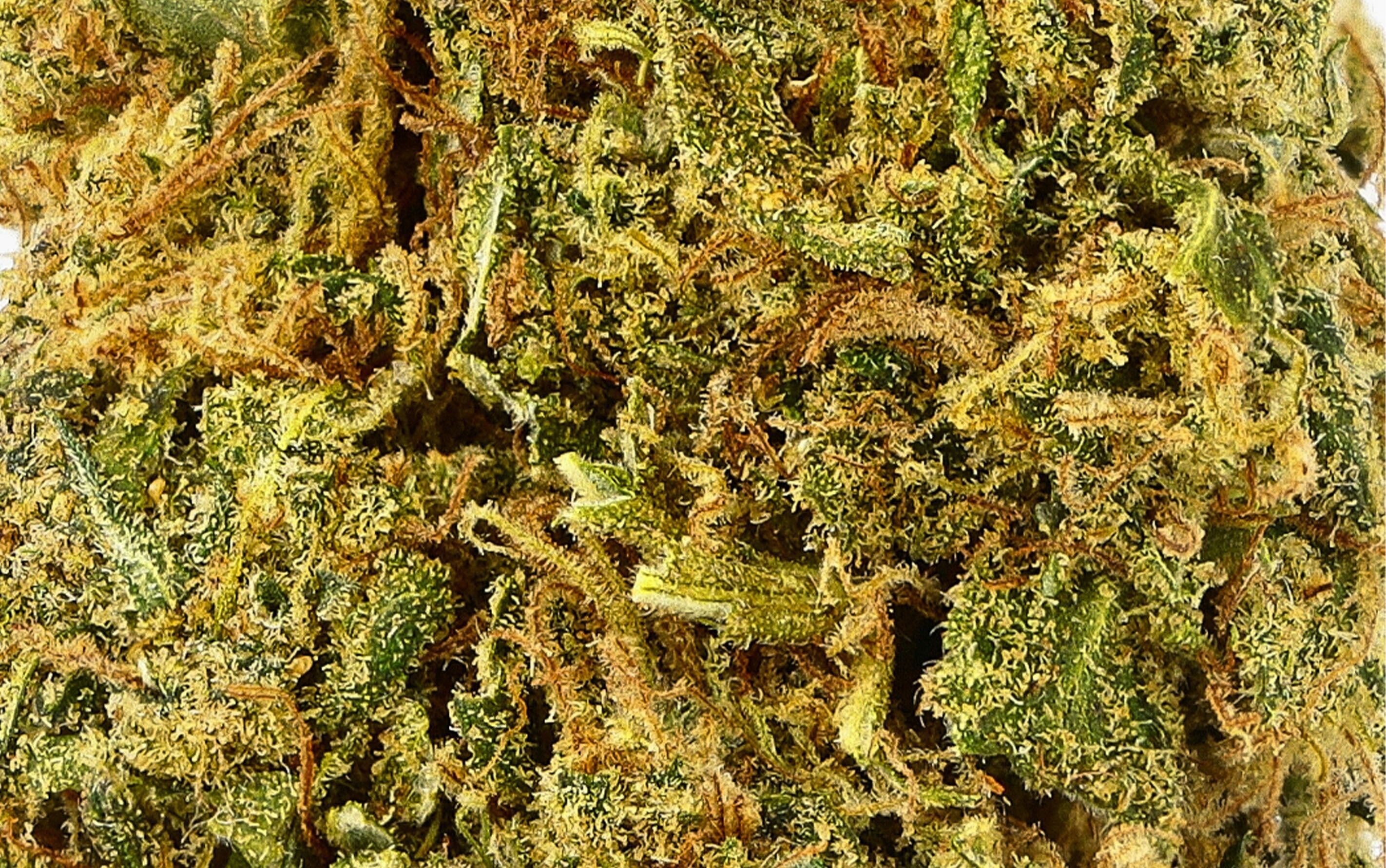 Super Lemon Haze CBD - Fleurs CBD