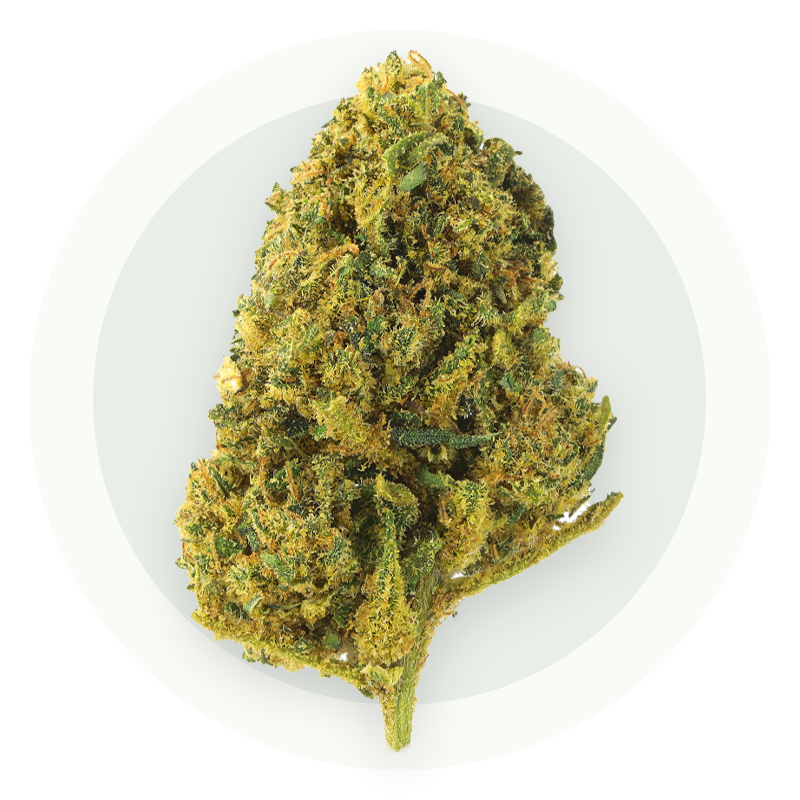 Jamaican Dream - Flores de CBD