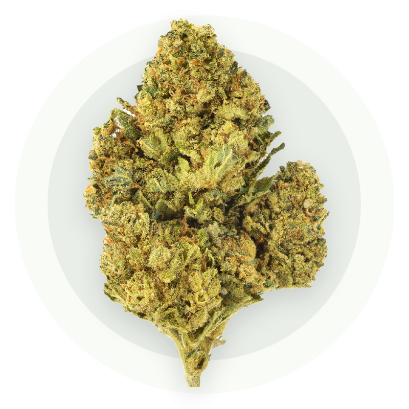 Super Skunk Premium - Kwiaty CBD